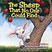 The Sheep That No One Could Find