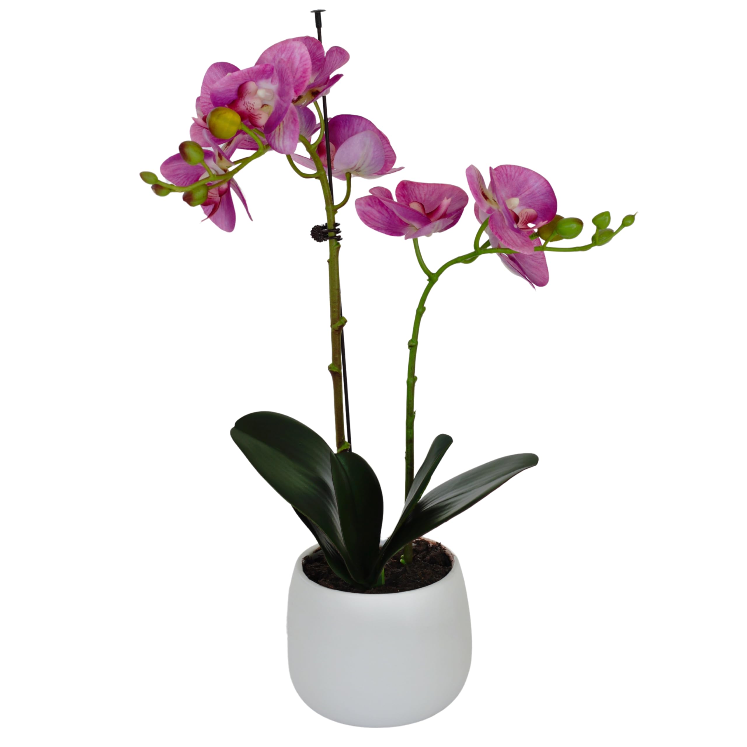 Greenbrokers Pink/Purple Elegant Double Stem Real Touch Artificial Potted Orchid (46Cm) In Round White Ceramic Pot