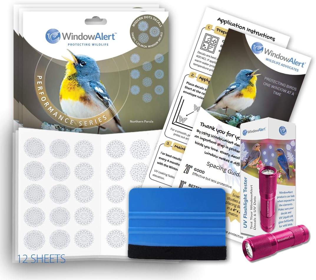 WindowAlert Performance Series Modern Dots Large Starter Pack - Bird Strike Prevention Decals (12 Envelopes) with UV Tester Flashlight & Application Squeegee - Made in the USA