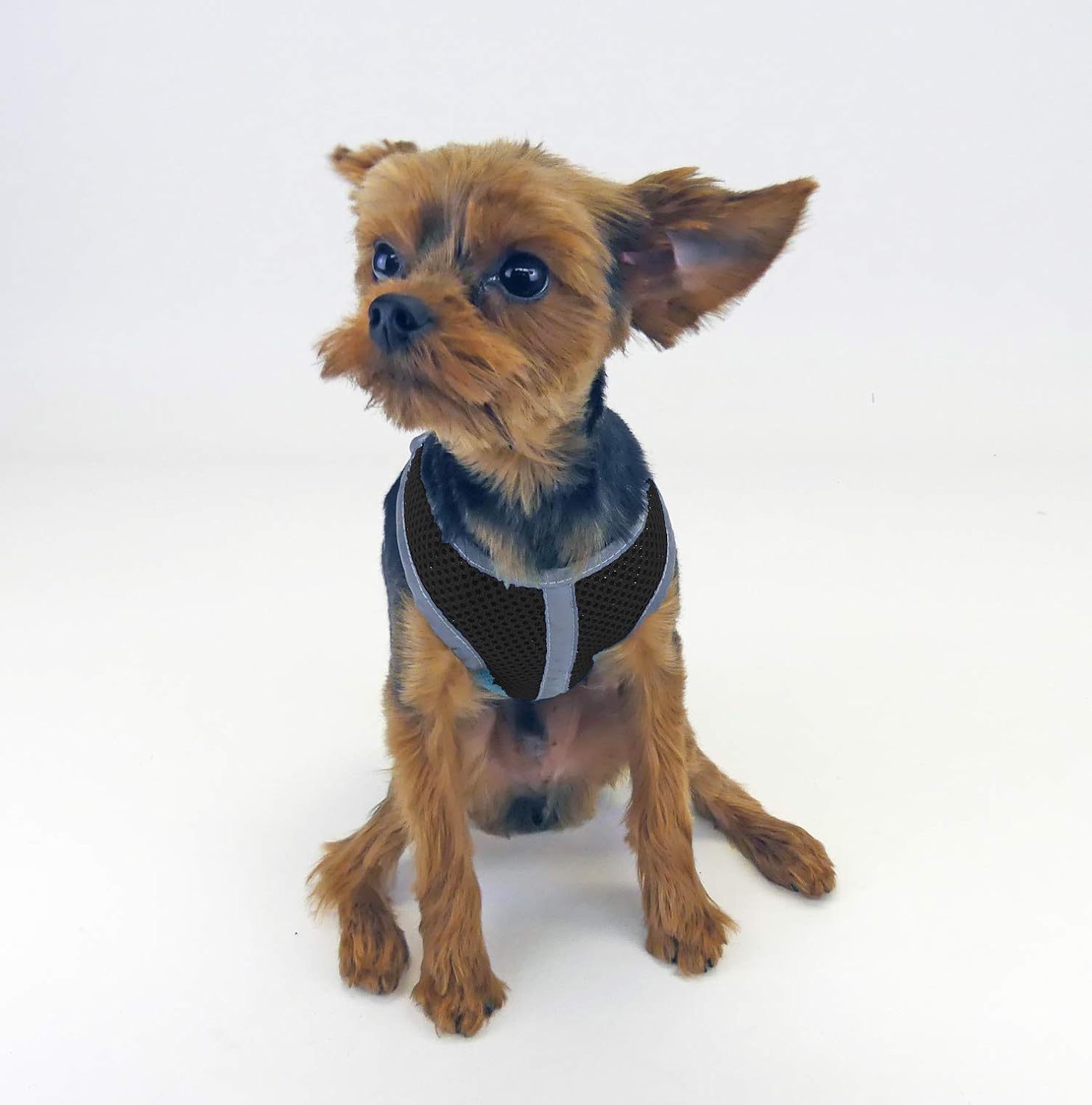 Cloak & Dawggie Mesh Step-N-Go Small Dog Harness Step In Teacup to 25 LBS. Vest Easy On Adjustable. XXXS Xsmall Toy Puppies to Medium. Reflective Soft Walking Doggy Wrap Vest (7200 - (T4 - XXS) Black)