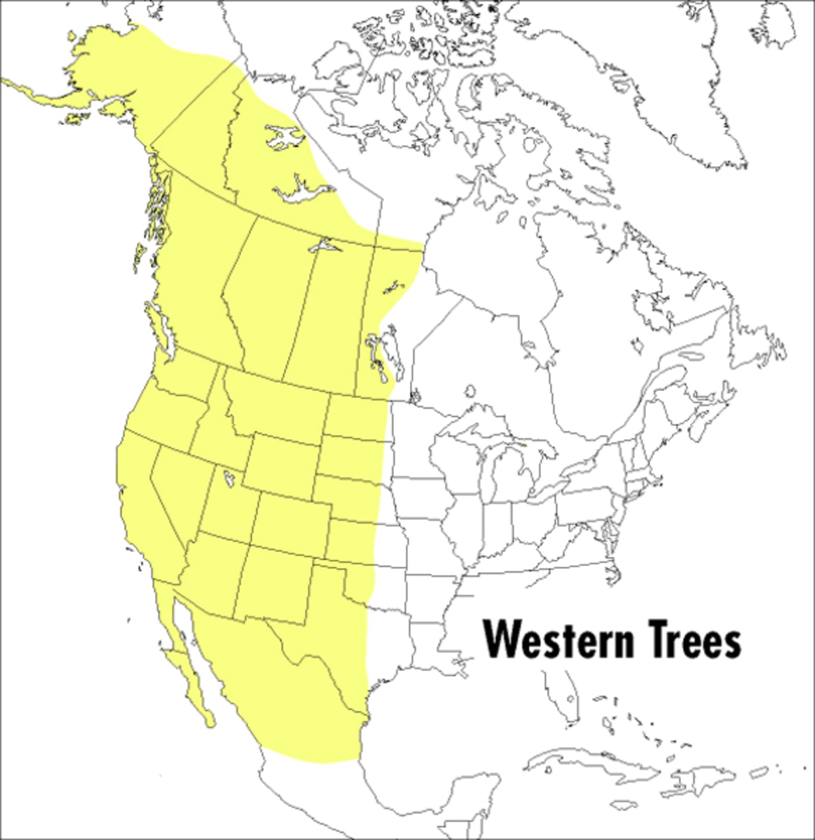 A Peterson Field Guide To Western Trees: Western United States and Canada (Peterson Field Guides)
