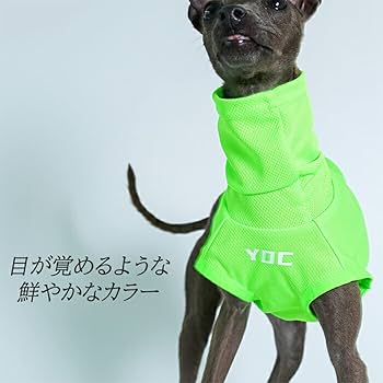 Amazon | イタリアングレーハウンド 服 イタグレ おしゃれ 犬服