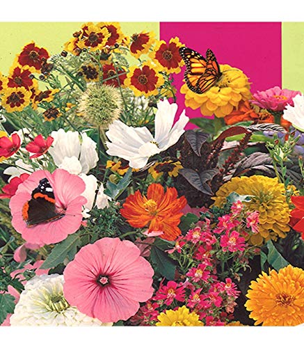 Astuceo Prewired Rug Flowers for Butterflies