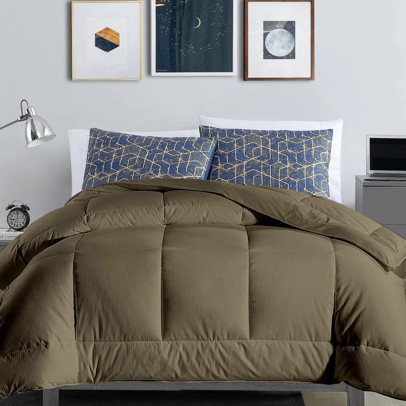 Razzai MammaYo Down Alternative Soft Quilted 300 GSM All Weather microfiber Comforter (90" x 90" Inches/228cm x 228cm) - Queen Size Comforters|Beige| TC - 400