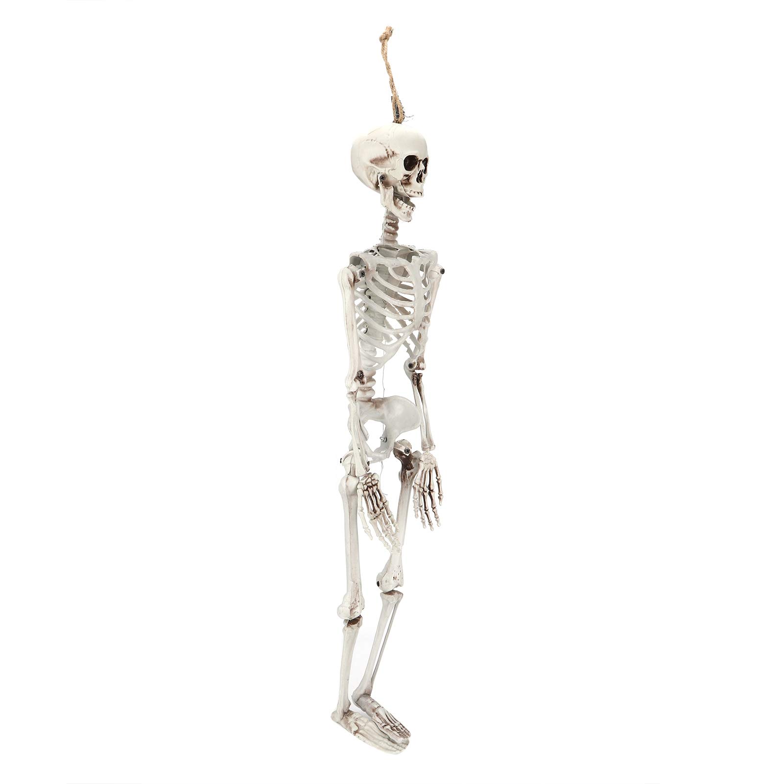 Chrees Esqueleto de Resina de Halloween, con Articulaciones Móviles y Gancho para Colgar para Decoración de Fiesta en el Hogar (Medio)