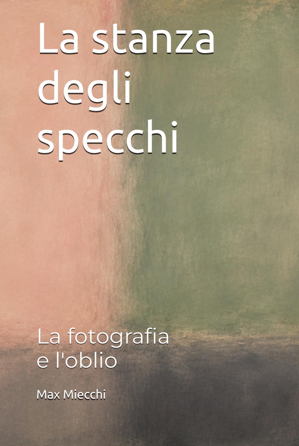 La stanza degli specchi: La fotografia e l'oblio (Romanzi)