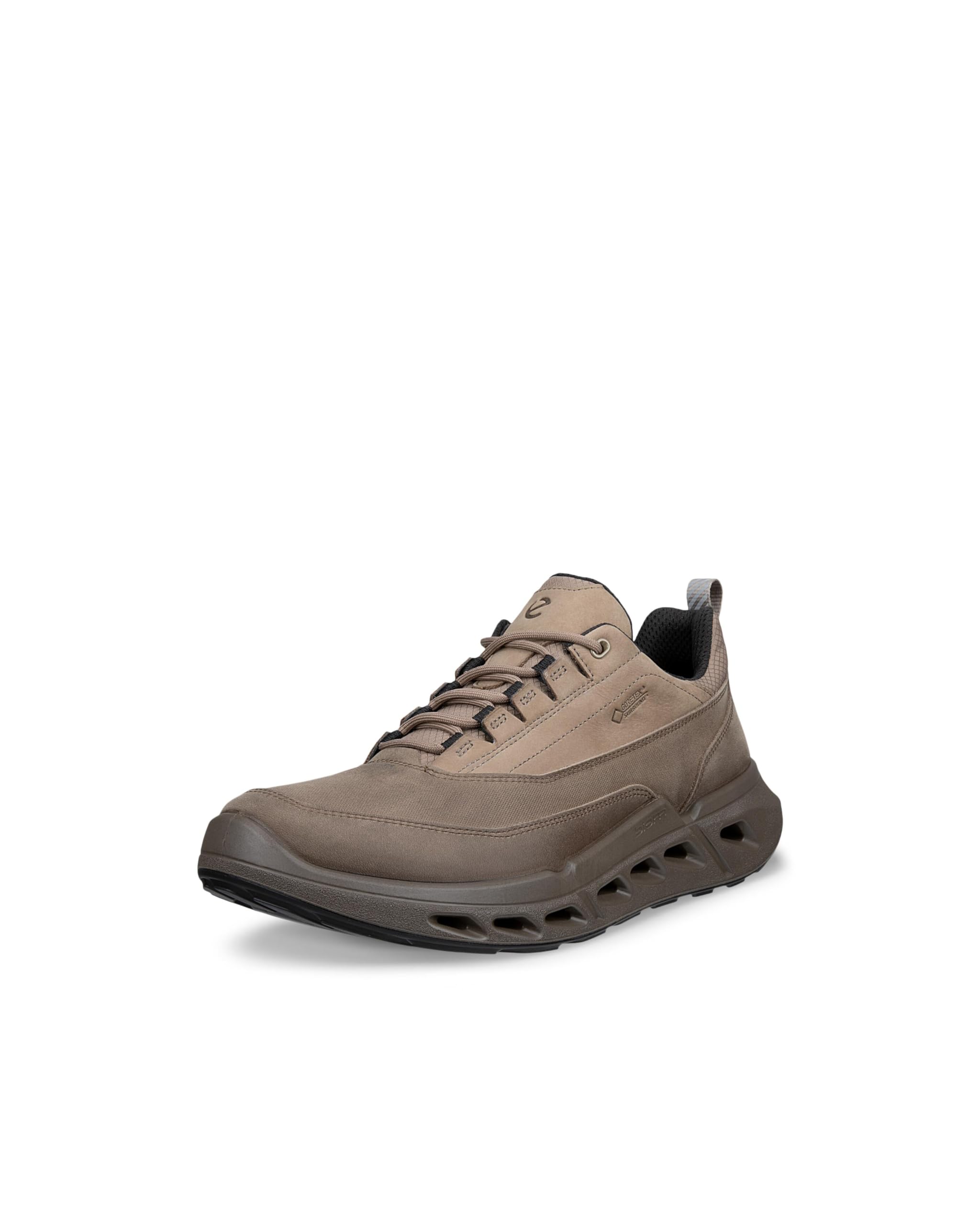 ECCO Sport Biom 720 Gore-Tex Waterproof Leather
