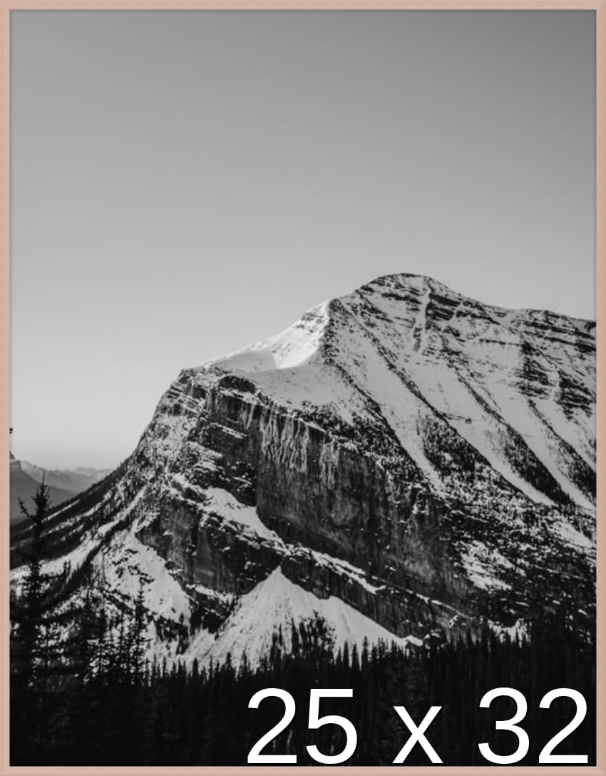 Frame It Easy 25 x 32 1/2 Satin Black Metal Frame (Ashford) 25x32.5 inches
