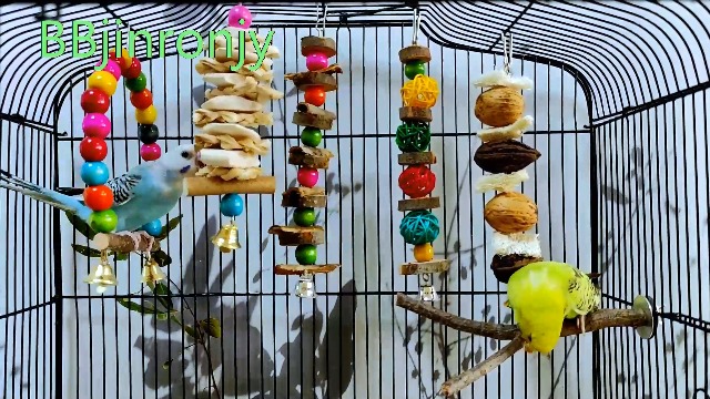 Bird Perch Bird Toys Parakeet Toys,Bird Cage Accessories Wooden Chew Toys Perch Stand for Parrot Conure Cockatiel Lovebird Parrotlet Budgie Finches and Other Small to Medium Sized Birds - image 7