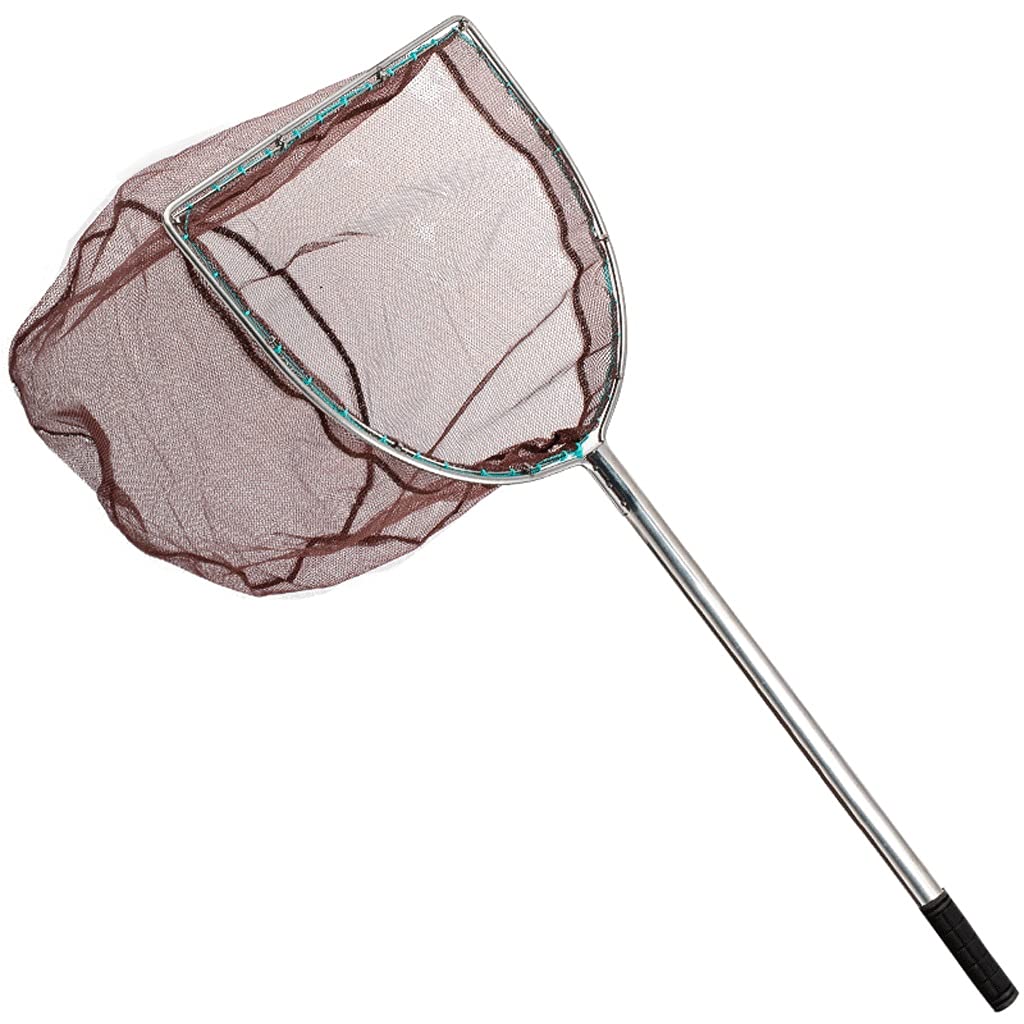 Rete da pesca Pesca Landing Net In acciaio Inox Rete da Pesca per Stagni Uccello Pesce Cattura Rilascio per 50 CM 75 100 120 CM pesce rete