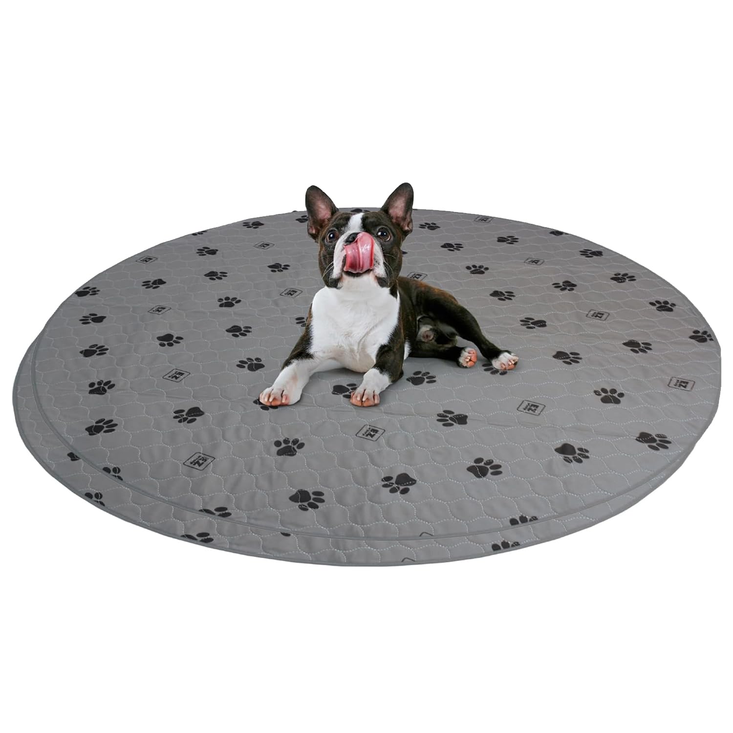 EZwhelp Pack of 2 Reusable Dog Pee Pad, Washable Slip-Resistant Waterproof Mat, 48 Inches — image 1