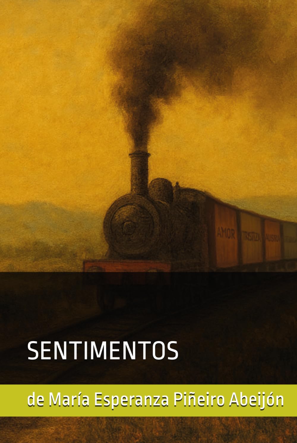 SENTIMENTOS: de Maria Esperanza Piñeiro Abeijón