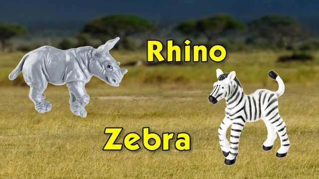 Amazon.com: Safari Ltd. Zoo Babies TOOB - 11 Figurines: Zebra