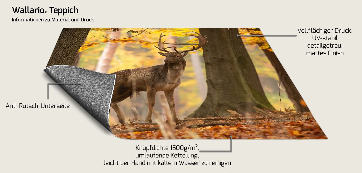 Wallario Rutschfester, Teppich mit Motiv - Fußmatte Damhirsch im Herbstwald, Größe 50 x 70 cm - flachgewebt