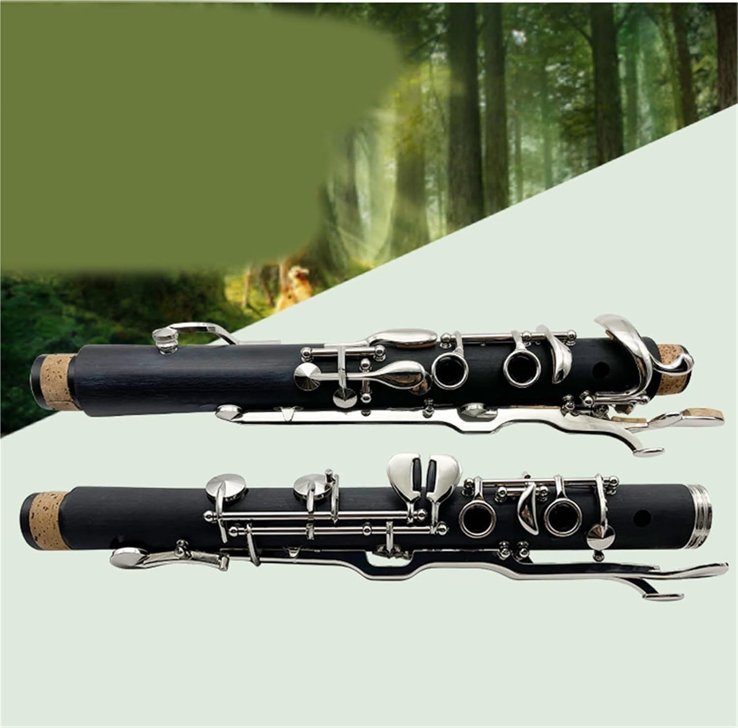 Clarinet soprano instrument in the key of G Clarinet