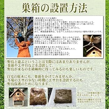 木製巣箱 スト-B-148 すのこベッド 檜 国産ひのきを使った頑丈すのこベッド シングル