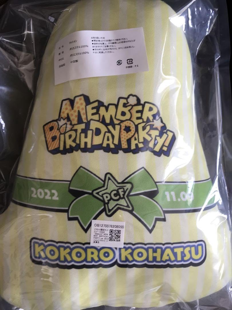 小波津志BIGクッション