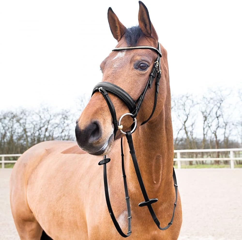 HORZE Lester Dressage Snaffle Bridle w/reins : Sports & Outdoors