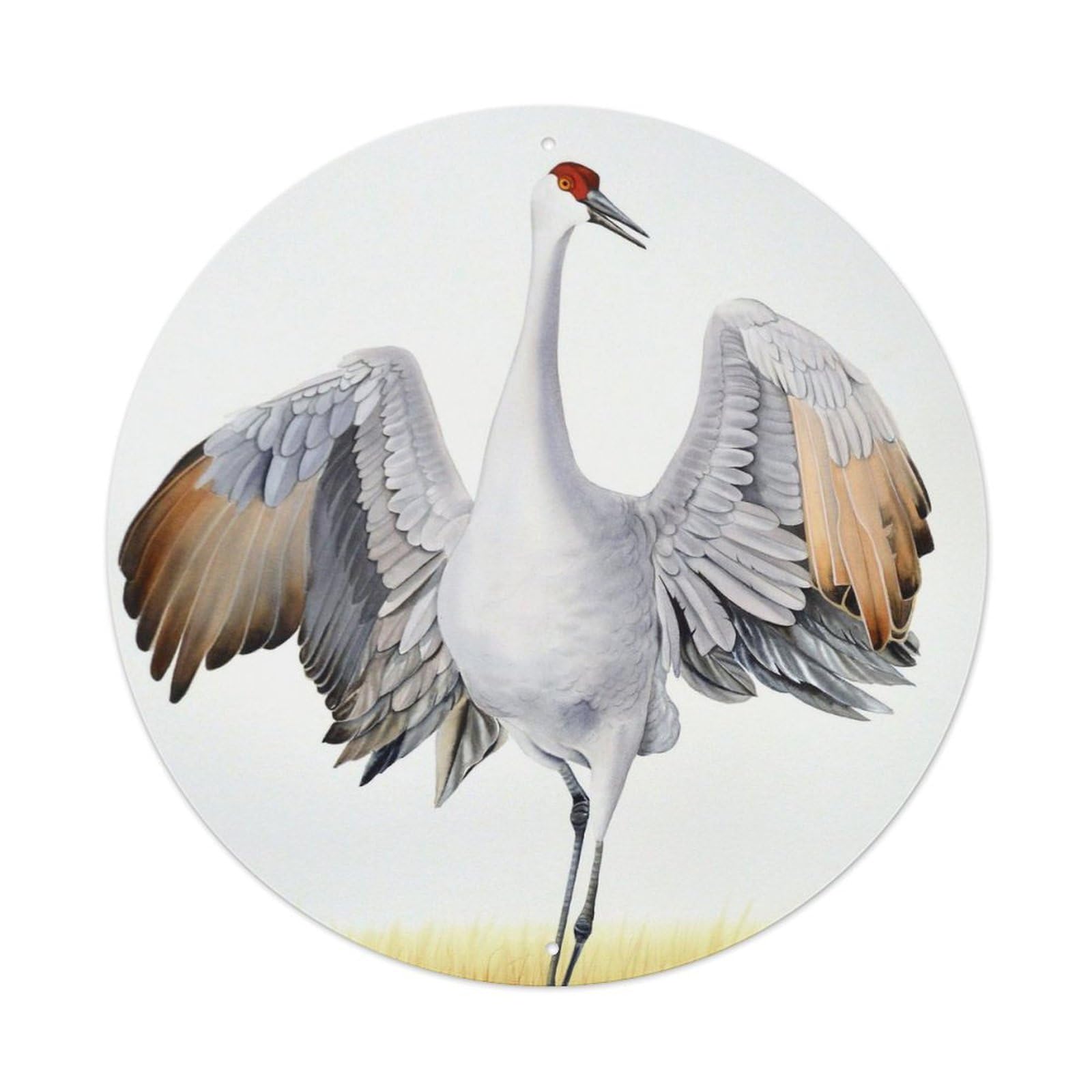Animal Artwork White Crane And Dragonfly Touch The Water Vintage Metal Tin Sign Plaque Wall Decor for Cafe, Club Bar, Office, Garden Metal Poster 8x8Inch