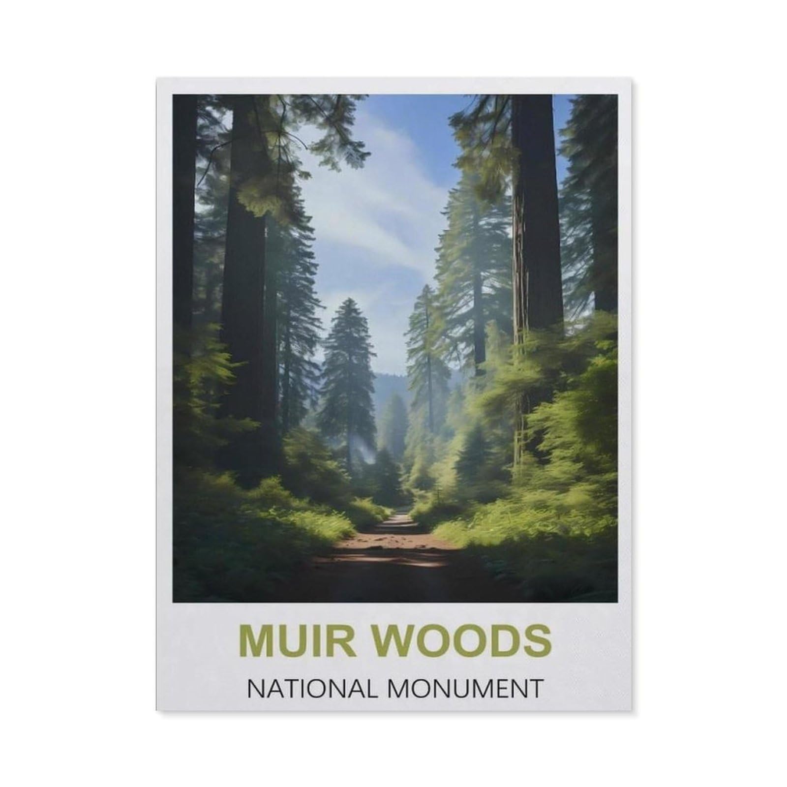 BEAYODKP Diamond Painting，Muir Woods National Monument Vintage Travel Posters，Diamond Painting Art Embroidery Cross Stitch Pictures Gift Wall Decoration（30 x 40 cm/11.81 x 15.74 inches）-CA96