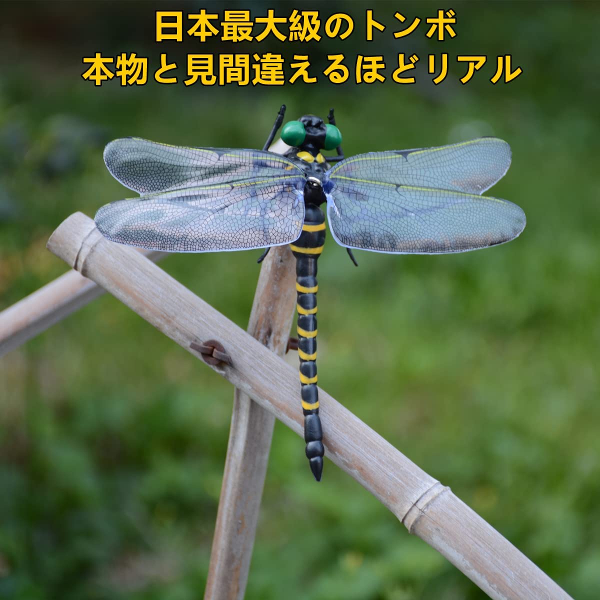 Amazon.co.jp: オニヤンマ おにやんま 虫除け トンボ 12cm 精巧な作り