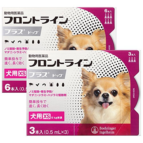 ypizptgCvXhbOXS 5kg 9{i9sybgj