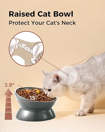 Miniatura 6 de LoeJan Cuenco elevado de comida para gatos, cuenco de cerámica elevado e inclinado de 5 onzas, antivómitos y protege las espinas de las mascotas
