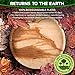 Pure Palm 10 in Party Plates Palm Leaf Plates Biodegradable Plates 25 pc Nice Compostable Bamboo Wood Look Large Round Disposable Plates, Eco Friendly Paper Dinner Plates Party Wooden Style Plates