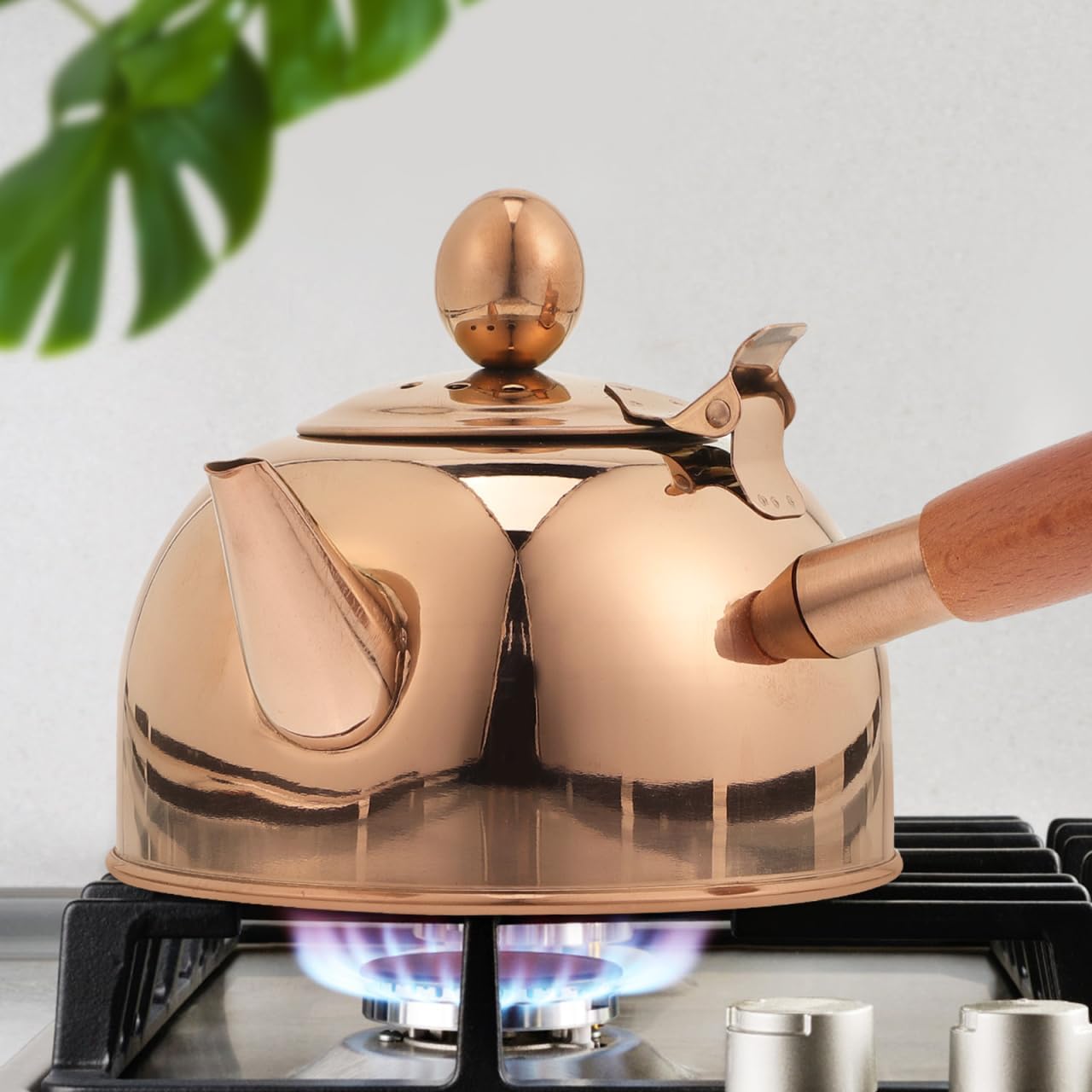 Vintage Tea Set Japanese Tea Set Stainless Steel Water Jug Japanese Pot Small Teapot Gongfu Teapot Stove Tops Kettle Stovetop Water Kettle Stove Tops Side Pot Heater
