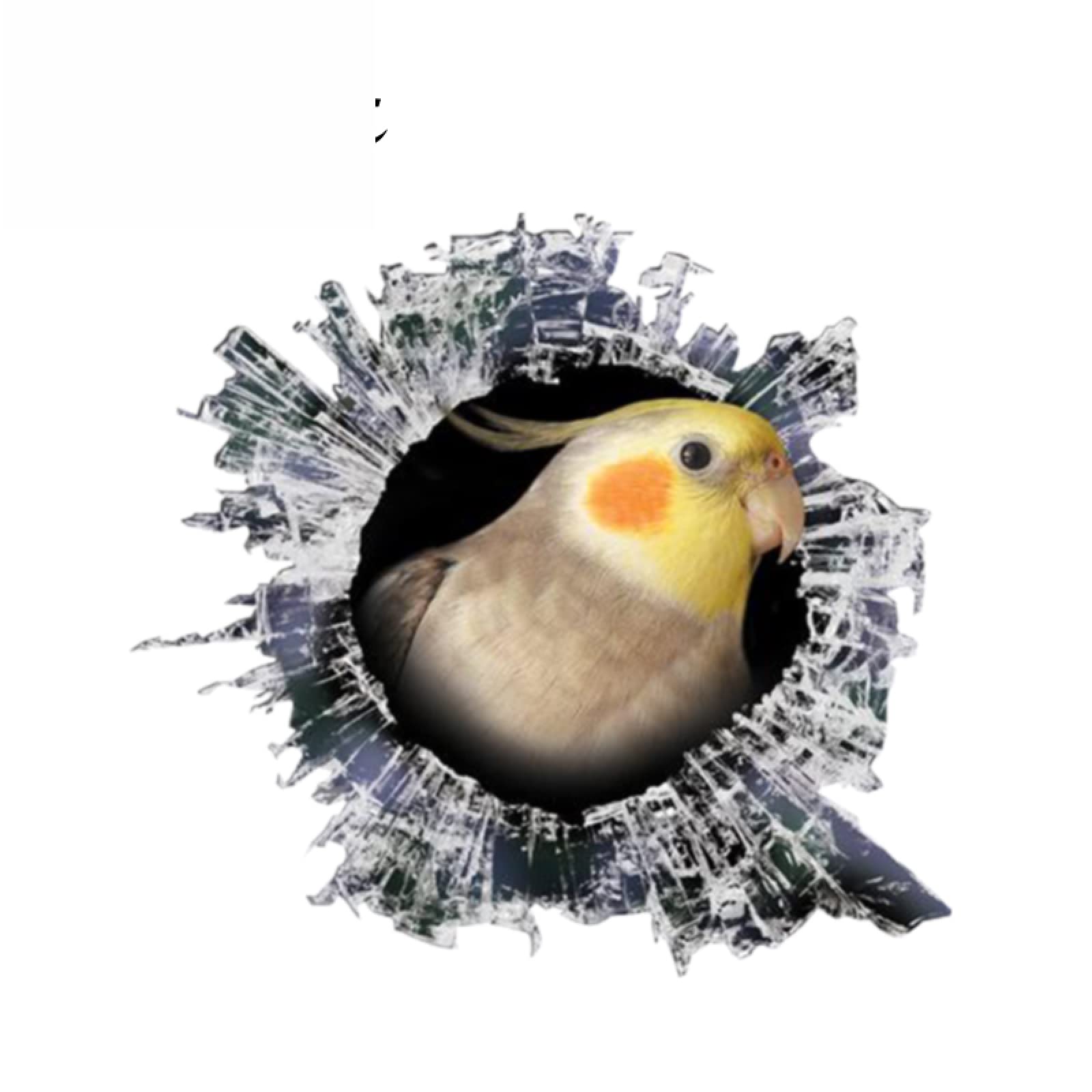 Amazon.co.jp: 3Dオカメインコ窓デカールガラススラグデカール Amazon.co.jp: 3Dオカメインコ窓デカールガラススラグデカール