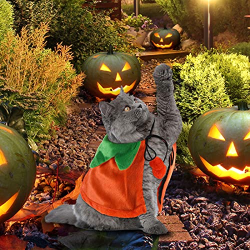 Disfraz Halloween para perros y gatos 4 piezas talla L miniatura 3