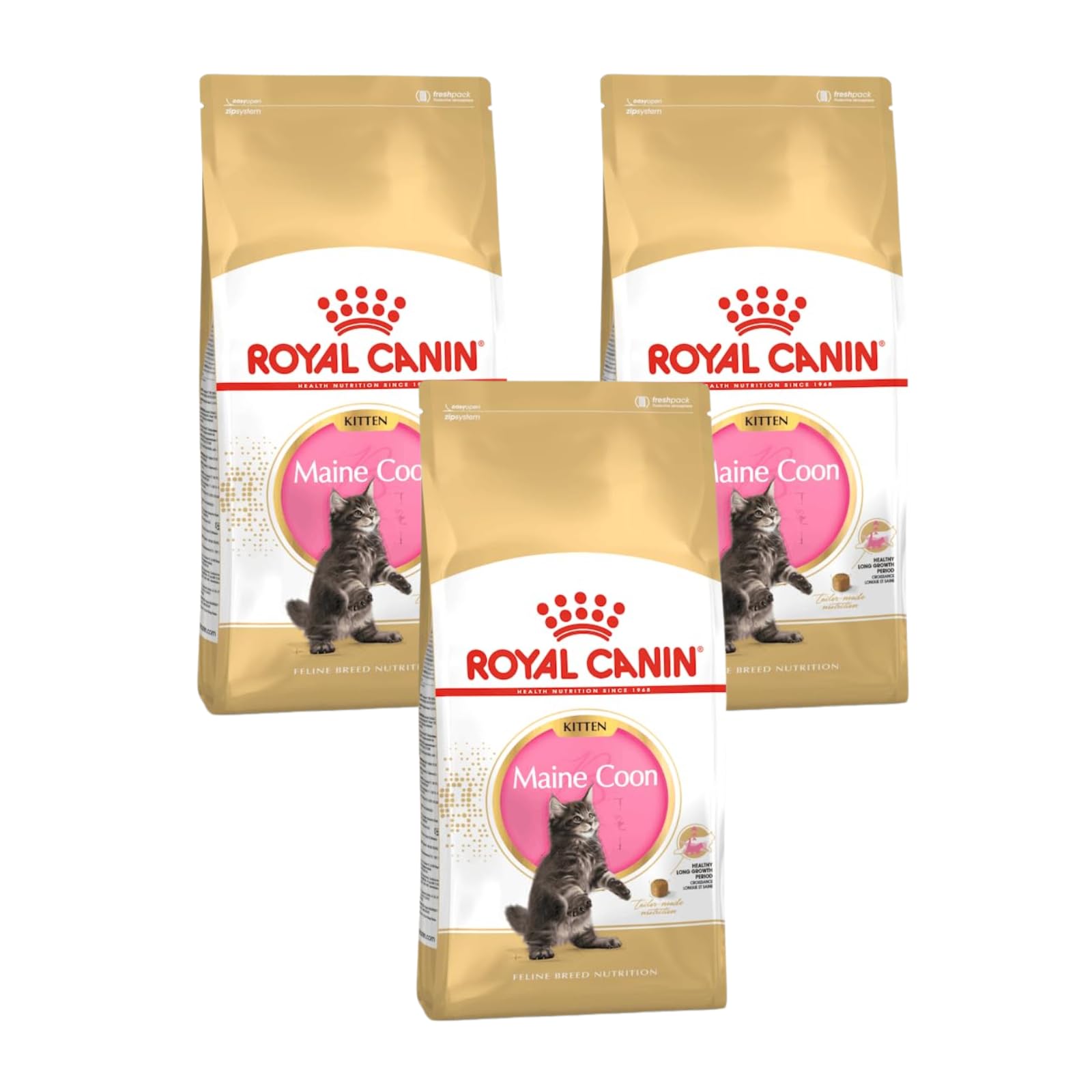 Royal Canin Maine Coon Kitten | Confezione Tripla | 3 x 400 g | Cibo secco per gatti | Specifico per cuccioli di gatto Maine Coon | Per favorire la digestione e il sistema immunitario