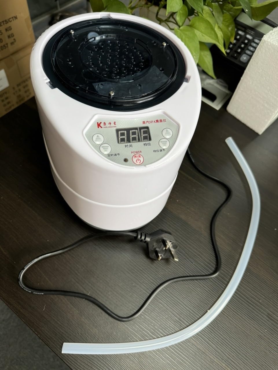 Begasungsdampfer, 3 L, 1500 W, Saunagenerator Für Spa-Zelt, Körpertherapie, Begasungsmaschine, Heimdampfer, Eingebauter Akku, EU 220 V