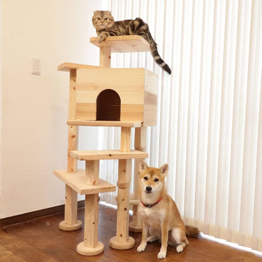 モネコキャットハウス doi051901.jpg