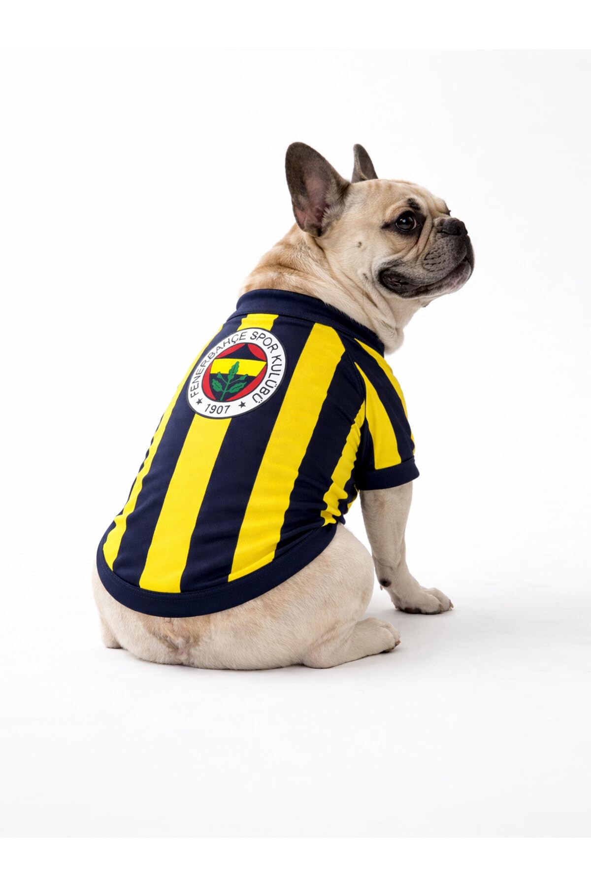 Sarı Lacivert Pet Tshirt