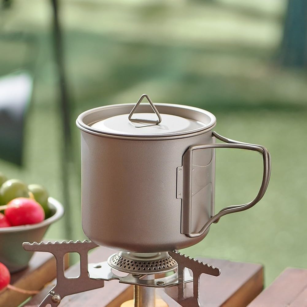 Bouteille d'eau portable en titane avec poignée pliable conçue pour le camping, la randonnée, les voyages en plein air, matériau léger et TI (750 ml)
