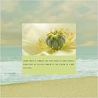 Vista 9 de Metronic Sobres de polietileno de 10 x 13 pulgadas, 100 unidades, bolsas de envío resistentes para pequeñas empresas, bolsas de polietileno