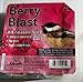 Heath Berry Blast Songbird Suet Beef Suet 11.25 oz.