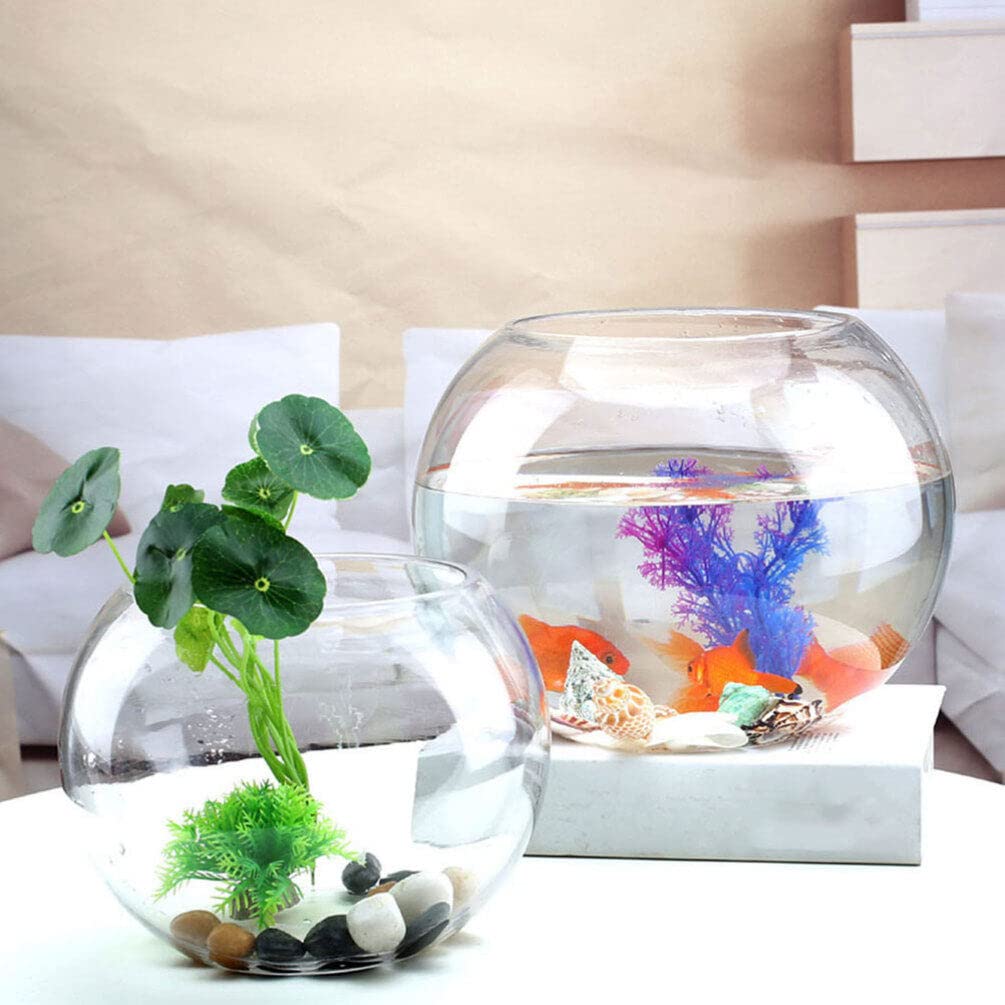 Terrariums de Réservoir de Poissons en Verre Récipient Transparent Décoration de Bureau Bol Rond Affichage Hydroponique Globe Bol Décoratif Poisson Rouge