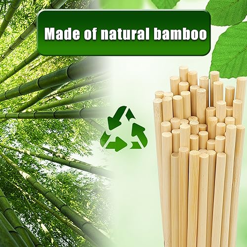 HANSGO 280 PCS Natural Bamboo Skewers Bulk, 8 Inch Wooden Skewer for Appetizers, Fruit, Kebabs, Grilling Barbecue, Mini Burger, Sausage, Cocktail Picks for Drinks, Long Toothpicks, Food Sticks Natural - Thumbnail 4