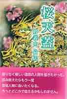 桜天蓋/文化評論/妙義山倫氏