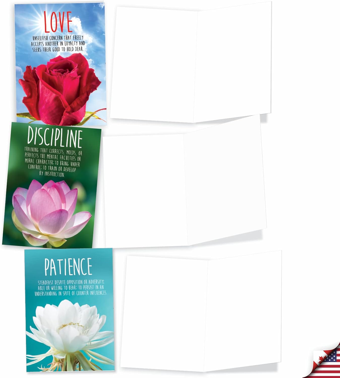 (ザ・ベスト・カード・カンパニー) The Best Card Company Sobriety Virtues &ndash; 12箱入りリカ