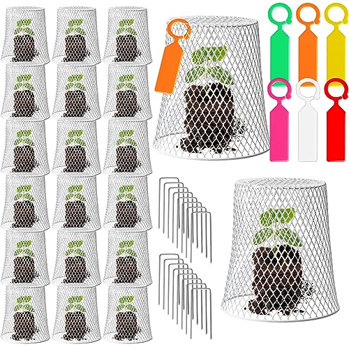 20 Pcs 8inch Chicken Wire Plant Covers,Wire Garden Cloches Chicken Wire Cloche Plant Protector Metal Heavy Duty Garden Plant Cloche for Keeping Bunnies Chicken Squirrels Birds Other Out