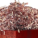 UNIQOOO 1 LB Metallic Rose Gold Crinkle Cut Paper, Pink Grass Shredded Paper Filler Strands Shred...