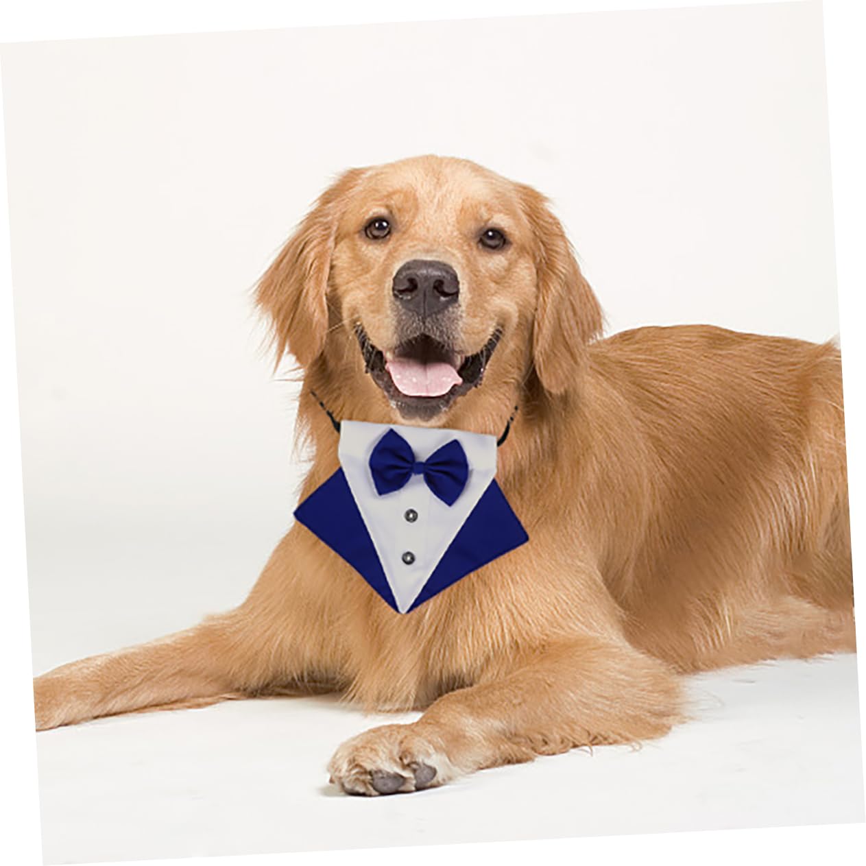 Housoutil 3sätze Hundebandana Mit Schleifenkragen Dreieckiges Halstuch Für Hunde Aus Stilvolles Hunde-Accessoire Für Outdoor Und Partys Pflegeleicht Und Atmungsaktiv