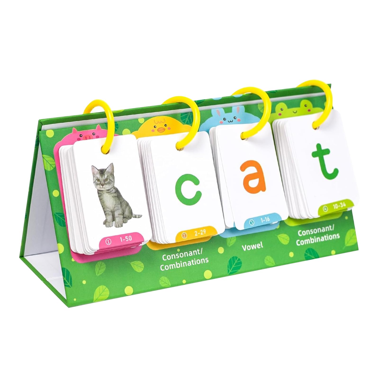 Amazon.co.jp: PAVIKE 英語カード 英単語 幼児教育 幼児英語