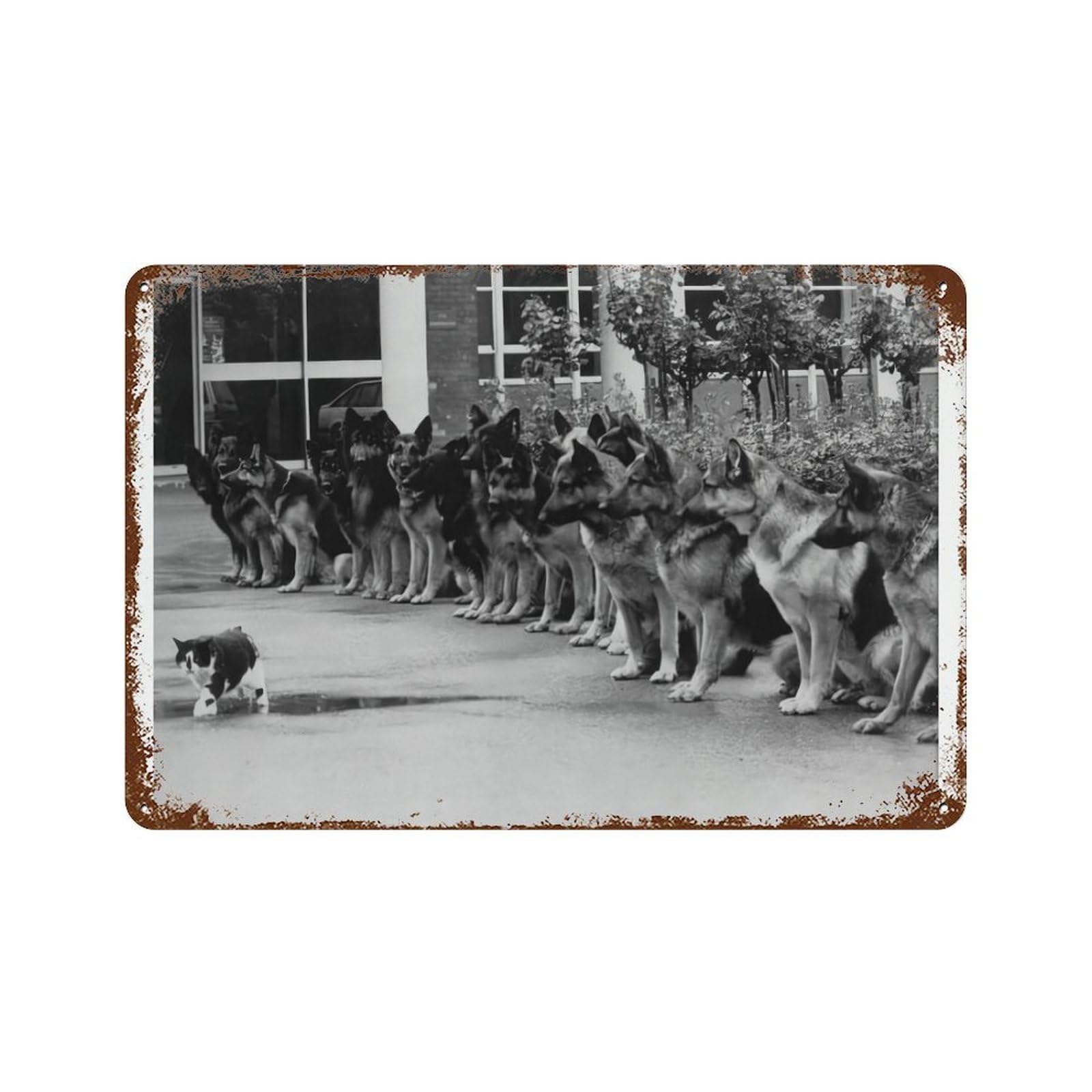 xiaoxiaoshen German Shepherds Staring at Cat Wall Decor Art Metal Tin Poster Modern Home Decor Art Home Bar Shop Decorations Vintage Sign 20x30cm