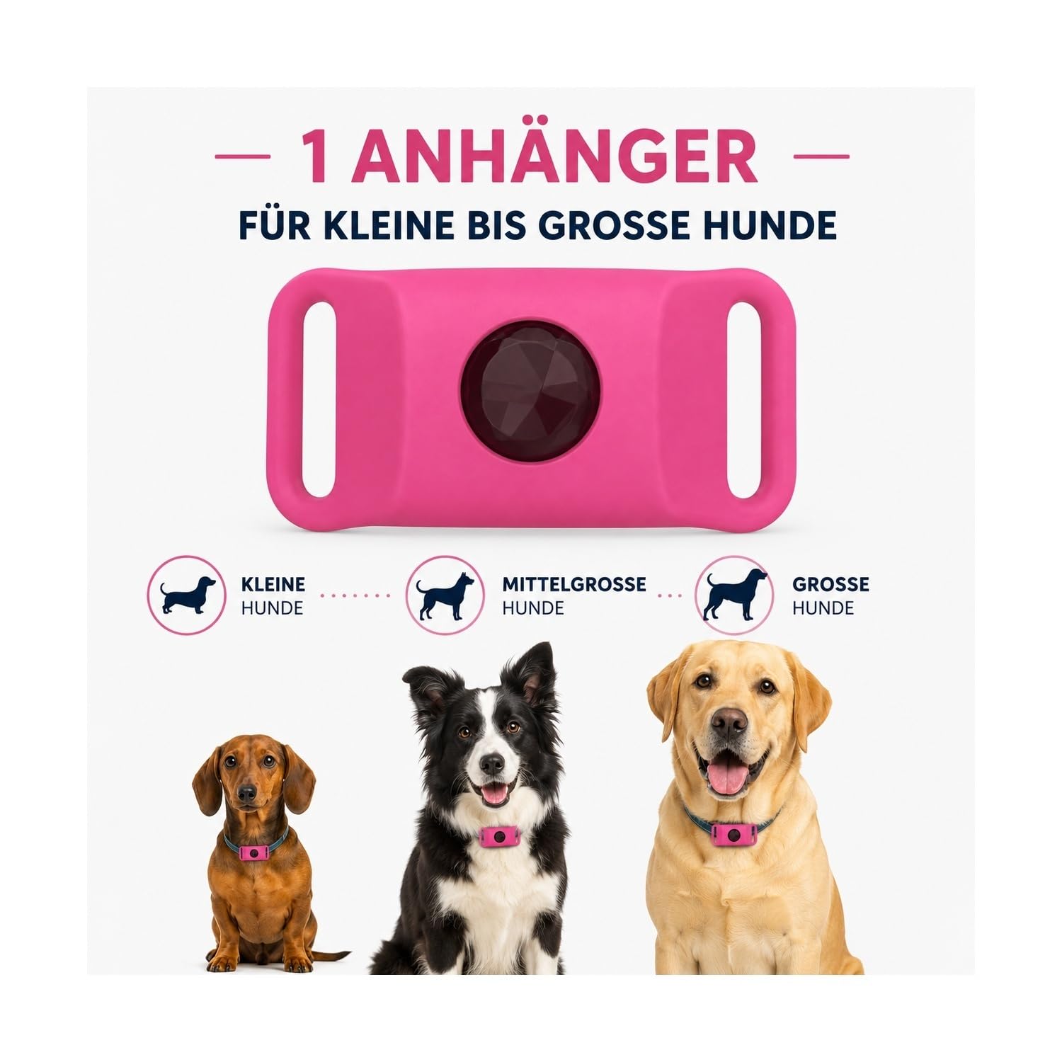 Zeckenschutz Hund natürlich ohne Chemie, 12 Monate Floh- und Zeckenanhänger, wasserdichter Halsbandanhänger mit ätherischen Ölen für kleine bis große Hunde
