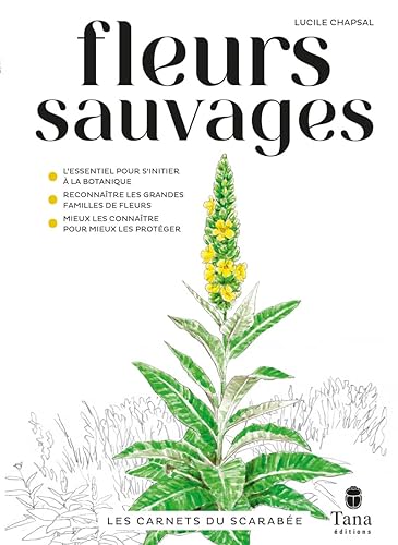 Les Carnets du Scarabée - Fleurs sauvages - Guide pratique pour se familiariser avec les grandes familles botaniques de plantes sauvages à fleurs et savoir les identifier