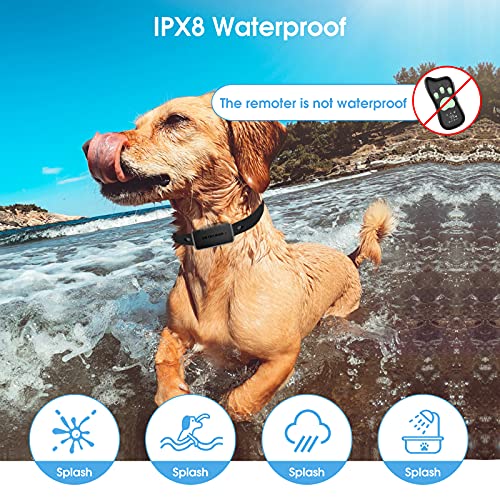 Dr.trainer Bark Collar With Remote, Quick Charge Ipx8 Waterproof Dog Shock Collar With App, Free Combination Mode With Custom Sound/Vibration/Shock (T1Spro Include B1Spro All Functions) #TOP6